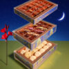 Small Acrylic Box