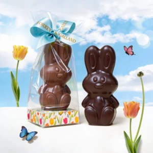 Mini milk chocolate Easter rabbit in a clear gift sachet with ribbon